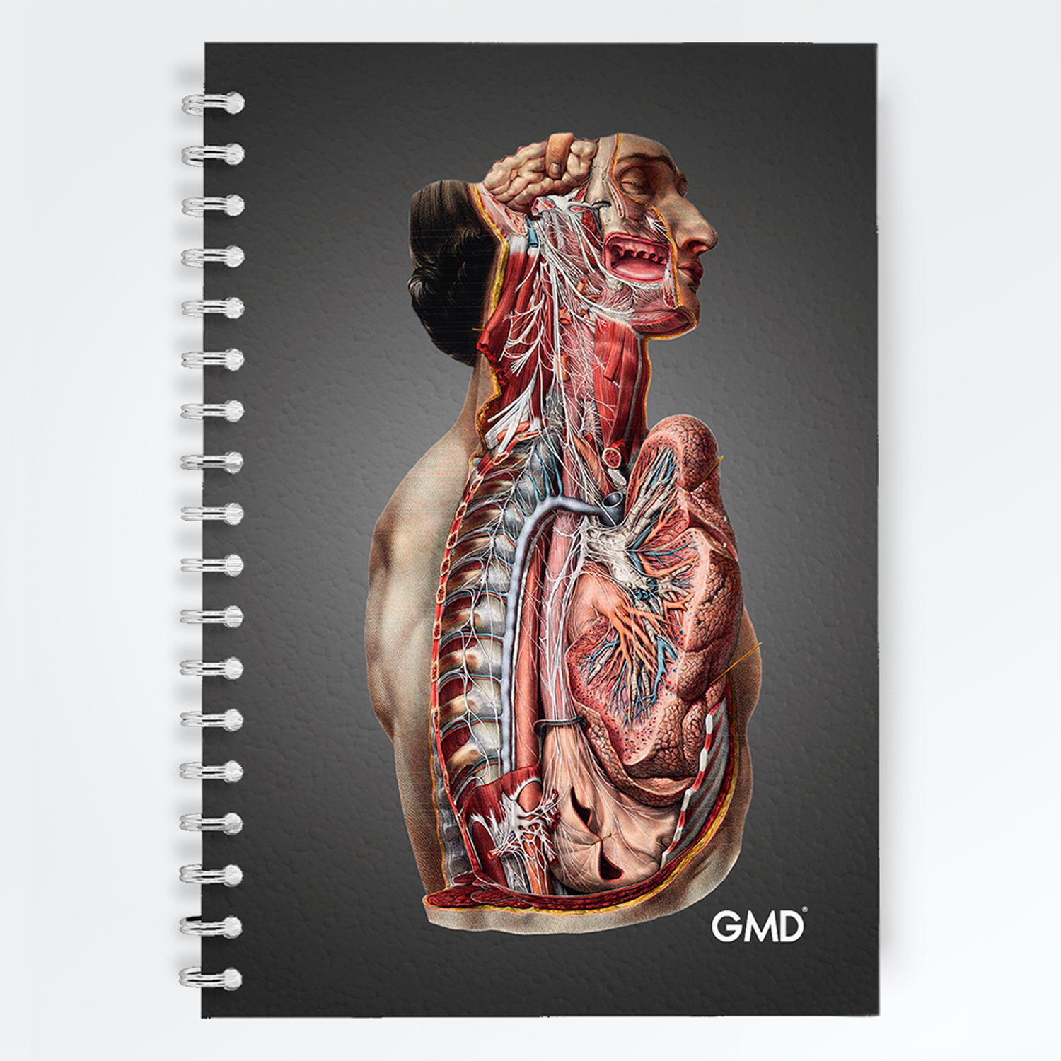 CUADERNO VISTA LATERAL GMD