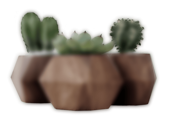 dark-slider-3-plant.png